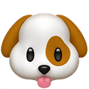 Dogs